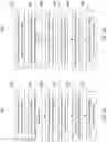Fig. 08 - Context-aware virtual keyboard for chemical structure drawing applications