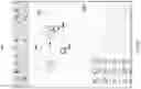 Fig. 16 - Context-aware virtual keyboard for chemical structure drawing applications
