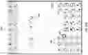 Fig. 20 - Context-aware virtual keyboard for chemical structure drawing applications