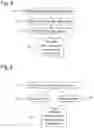 Fig. 04 - METHOD AND PRODUCT FOR DETERMINING A STATE VALUE, A VALUE REPRESENTING THE STATE OF A SUBJECT