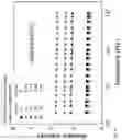 Fig. 08 - Elastomer composites with high dielectric constant