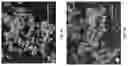 Fig. 18 - Elastomer composites with high dielectric constant