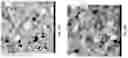 Fig. 20 - Elastomer composites with high dielectric constant
