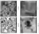 Fig. 48 - Elastomer composites with high dielectric constant