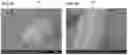 Fig. 05 - Flaky magnetic metal particles, pressed powder material, rotating electric machine, motor, and generator