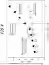 Fig. 05 - Grain-oriented electrical steel sheet and production method therefor