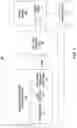 Fig. 02 - Radiation anode target systems and methods
