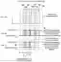 Fig. 06 - Automatic processing device