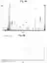 Fig. 06 - Ion analysis device and ion dissociation method