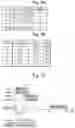 Fig. 05 - Mass spectrometer and chromatograph mass spectrometer