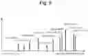 Fig. 06 - Mass spectrometer and chromatograph mass spectrometer