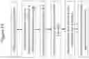 Fig. 21 - Buffer layer for Gallium Nitride-on-Silicon epitaxy
