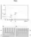 Fig. 07 - PROCESSING APPARATUS