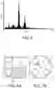 Fig. 06 - Patterning platinum by alloying and etching platinum alloy