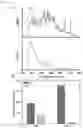Fig. 04 - Plasma etching method