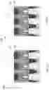 Fig. 06 - Transistor device and related methods