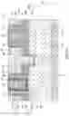 Fig. 26 - Methods of cutting metal gates and structures formed thereof
