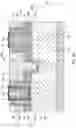 Fig. 27 - Methods of cutting metal gates and structures formed thereof