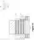 Fig. 04 - Vertically stacked complementary-FET device with independent gate control
