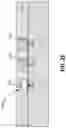 Fig. 08 - Making semiconductor devices by stacking strata of micro LEDs