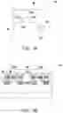 Fig. 07 - Semiconductor device including insulating element
