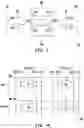 Fig. 02 - Memory array and semiconductor chip