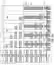 Fig. 146 - Three-dimensional memory device containing through-memory-level contact via structures
