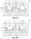 Fig. 02 - Seal method to integrate non-volatile memory (NVM) into logic or bipolar CMOS DMOS (BCD) technology