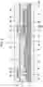 Fig. 03 - Imaging device and X-ray imaging device