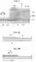 Fig. 05 - Imaging device and X-ray imaging device