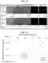 Fig. 10 - Organic light emitting display device and method of manufacturing the same