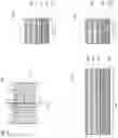 Fig. 02 - Nanosheet field effect transistor with spacers between sheets