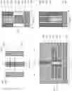 Fig. 16 - Nanosheet field effect transistor with spacers between sheets