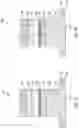 Fig. 47 - Semiconductor device and forming method thereof