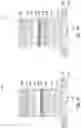 Fig. 48 - Semiconductor device and forming method thereof