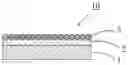 Fig. 01 - Wavelength conversion member, light-emitting device, and method for manufacturing wavelength conversion member