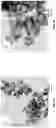 Fig. 06 - Quantum dot encapsulation techniques