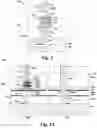 Fig. 02 - Memory cell with top electrode via