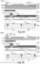 Fig. 10 - Memory cell with top electrode via
