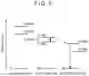 Fig. 06 - ORGANIC ELECTROLUMINESCENCE ELEMENT AND ELECTRONIC DEVICE