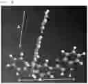 Fig. 10 - Organic light emitting element