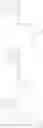 Fig. 491 - Organic light emitting element