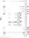 Fig. 07 - Photoelectric conversion element, optical sensor, imaging element, and compound