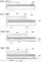 Fig. 17 - Light-emitting device and electronic device