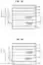 Fig. 02 - Light-emitting device, display apparatus, and illumination apparatus