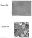 Fig. 13 - Surface-treated metal plate, cell container, and cell