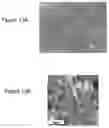 Fig. 14 - Surface-treated metal plate, cell container, and cell