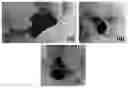 Fig. 01 - Flexible thin-films for battery electrodes
