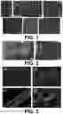 Fig. 02 - Flexible thin-films for battery electrodes