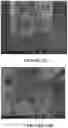 Fig. 11 - Method and machine for manufacturing a fibre electrode